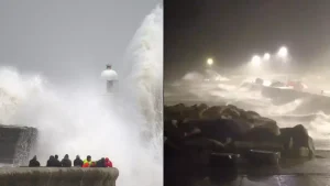 Investigation launched after man in his 40s dies from tree falling on van during Storm Darragh