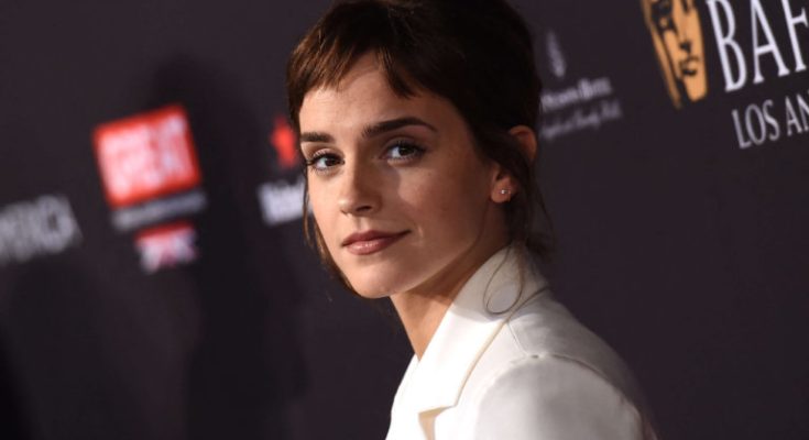 Emma Watson’s unexpected academic journey shocked fans worldwide, as she used her education to launch powerful campaigns that left a lasting impact on social issues.