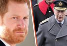 Prince Harry’s Bold Statement That Infuriated King Charles & Brother William Deleted from Royal Family's Website