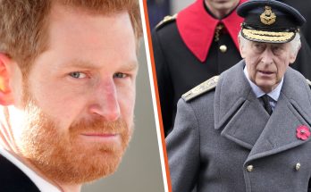 Prince Harry’s Bold Statement That Infuriated King Charles & Brother William Deleted from Royal Family's Website