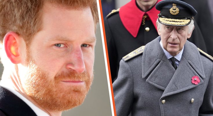 Prince Harry’s Bold Statement That Infuriated King Charles & Brother William Deleted from Royal Family's Website