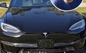 Man who bought two used Teslas gives warning to others after finding the same issue with both