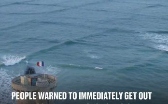 People warned to immediately get out of the ocean if they spot one sign