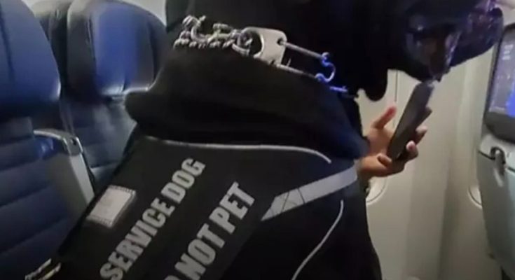 Airline Passenger Furious After Being ‘Moved from Seat’ Due to Dog