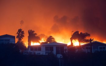 Ricki Lake shares eerie video of the moment medium Tyler Henry told her she'd lose her house in a fire