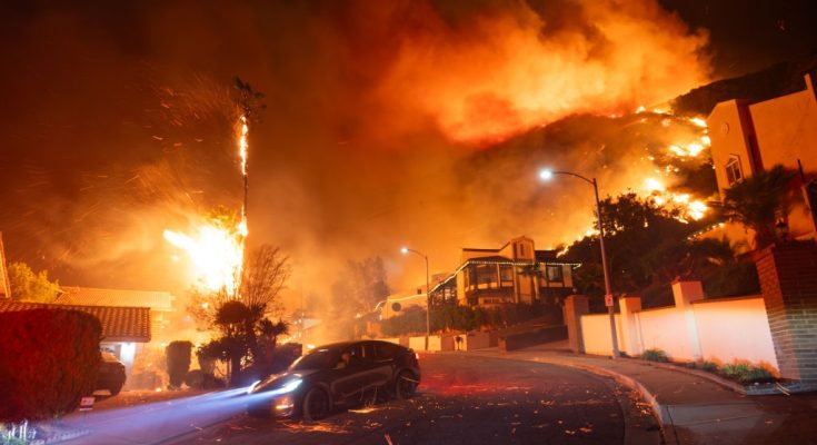 'Blues Brothers' star dies in LA fires after home burns down