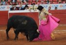 Crowd narrowly avoids injury after fighting bull leaps barrier during event in Mexico City