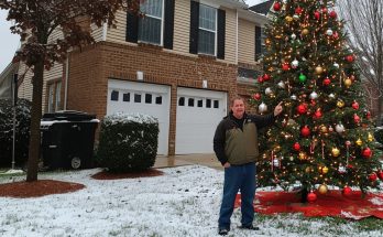 My Landlord Stole My Beautiful Christmas Tree and My Payback Was Harsh