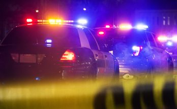 Kenneth Fire Arson Suspect Detained in Woodland Hills – Details