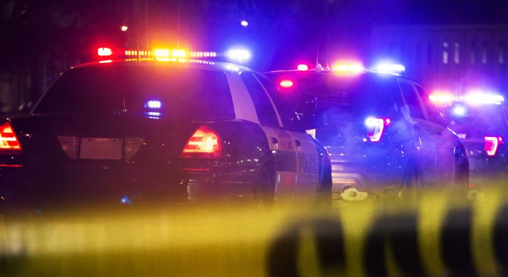 Kenneth Fire Arson Suspect Detained in Woodland Hills – Details