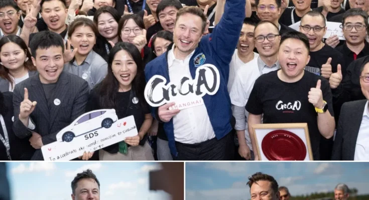 Mr. Elon Musk is Shocked Because He ‘Does Not Need a Degree’ When Recruiting Employees