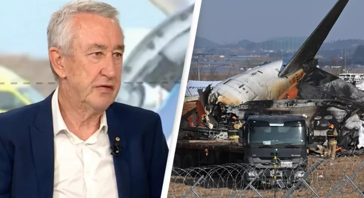 Aviation expert believes Jeju Air plane had more 'sinister' explanation to crash that killed 179 in chilling new theory