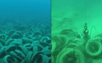 Shocking results dumping two million tyres into the ocean in eerie experiment had 50 years later