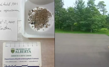 Family capture 'first ever' footage of sound meteorite makes after it falls from sky onto their property
