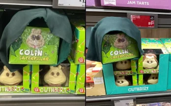 Aldi responds to sightings of Colin the Caterpillar from M&S appearing on its shelves wearing Traitors cloak