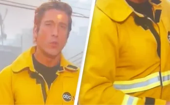 News anchor labelled 'narcissistic' after wearing 'ridiculous' outfit while reporting on LA wildfires