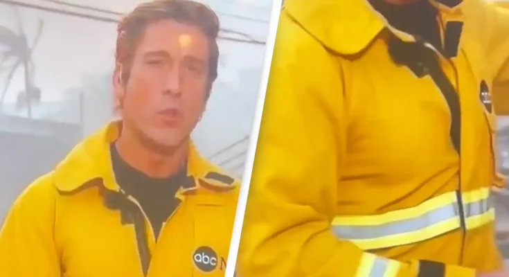 News anchor labelled 'narcissistic' after wearing 'ridiculous' outfit while reporting on LA wildfires