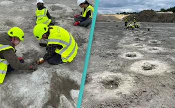 Hundreds of dinosaur footprints found in quarry by researchers in extremely 'rare' discovery