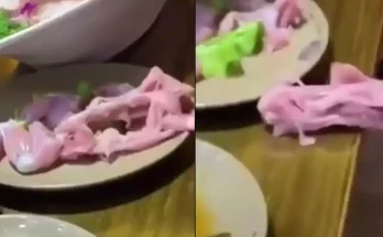 Restaurant customers left screaming after horrifying moment 'zombie' meat 'crawls off' dinner plate
