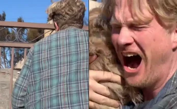 Pet owner returns to his home after LA wildfires and is left in tears at what he discovers