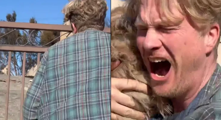 Pet owner returns to his home after LA wildfires and is left in tears at what he discovers