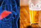 How long it takes your liver to return to normal from drinking as people prepare for Dry January