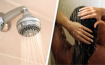 Expert explains why 'our best ideas come to us in the shower'