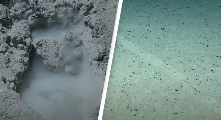 Scientist makes disturbing discovery at Earth's deepest point