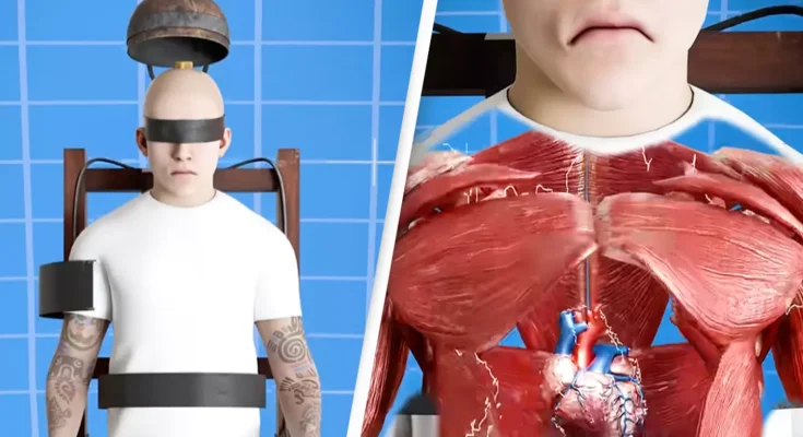 Terrifying simulation shows how an electric chair actually works