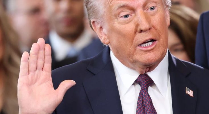White House confirms Elon Musk's official job title is within President Trump's government