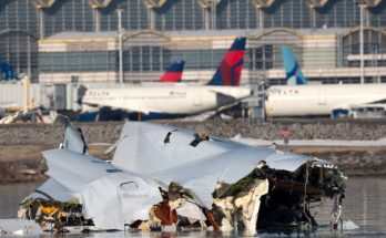 Chesley 'Sully' Sullenberger's blunt three-word response to President Trump's response to American Airlines crash