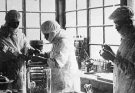 Chilling experiments that took place at 'hellish' Unit 731 as it remains one of the darkest secrets in history