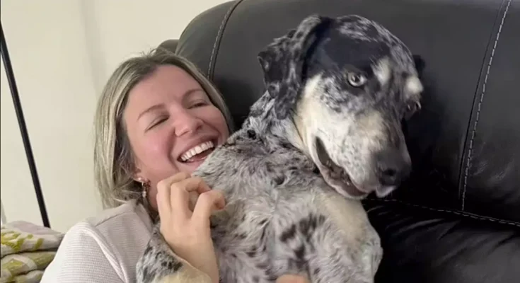 Woman reveals horrific injuries after beloved dog of 11 years bites her nose off in ‘unprovoked attack’