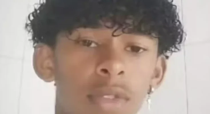Boy, 14, dies after 'injecting himself with butterfly remains' as police probe online 'challenge'