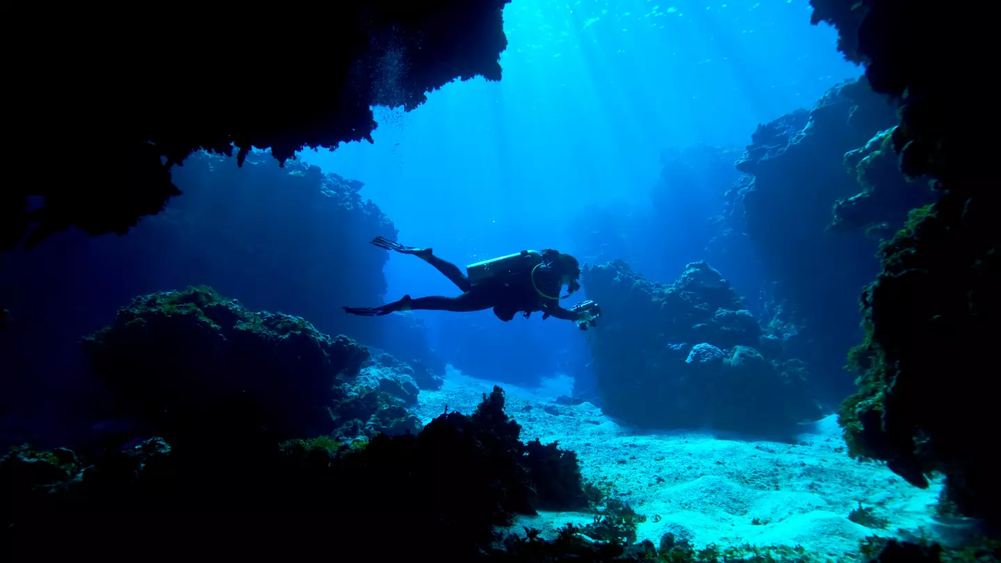 Ex-NASA astronaut shares absolutely terrifying experience he had spending two weeks at the bottom of the ocean