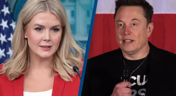 Donald Trump's press secretary reveals email she sent in response to Elon Musk's demands with 5 bullet points
