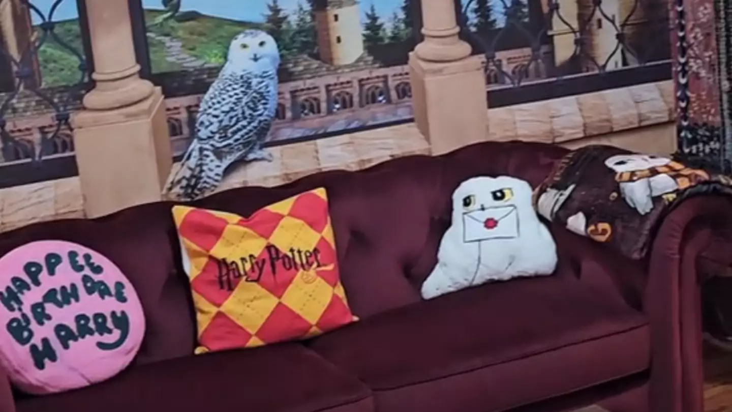 What Harry Potter Airbnb looked like before owner was met with ‘most horrific scene' left by guests