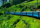 Tourist tragically dies while leaning head out of train for selfie in gruesome incident