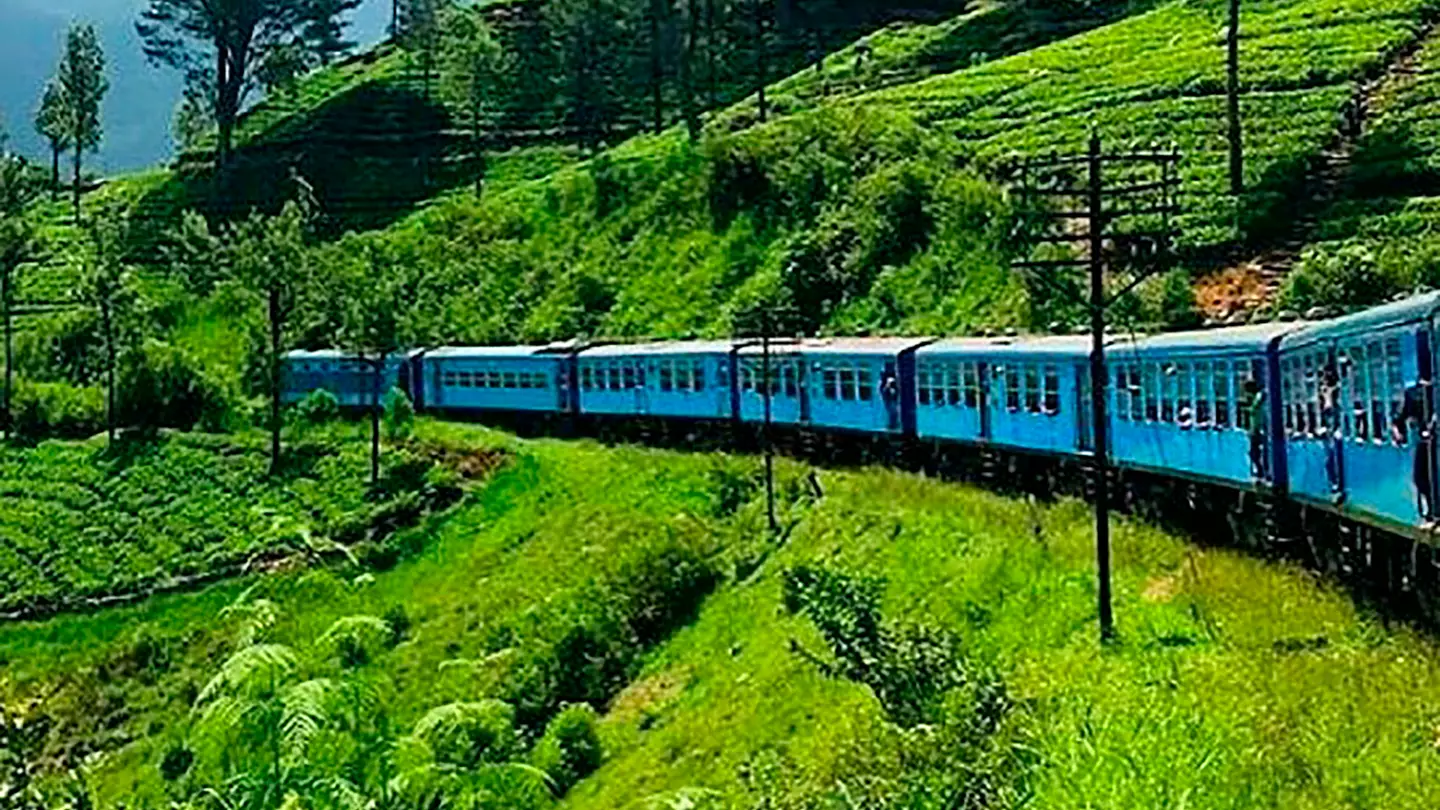 Tourist tragically dies while leaning head out of train for selfie in gruesome incident