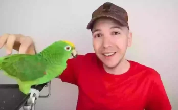 YouTuber Nikocado Avocado shares 'truth' about drastic new look after losing 17 stone in two-year experiment