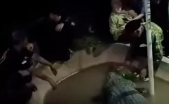 Terrifying moment crocodile snatches grandfather and drags him into water at theme park