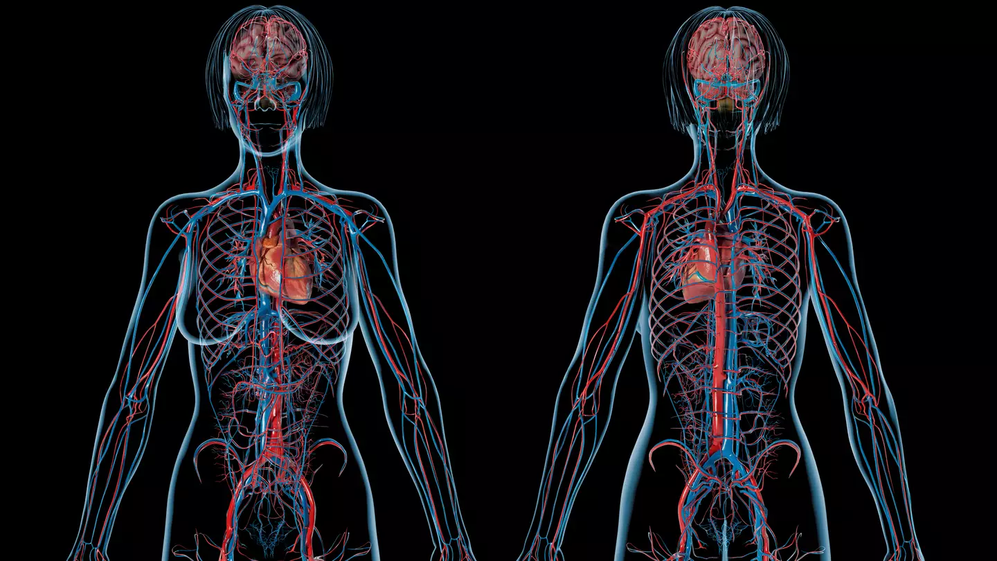 The strength of one body part could be a huge indicator of how long you will live