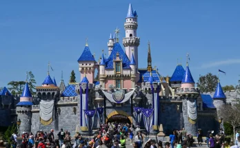 People left stunned after finding out why Disney displays 'fake' American flags in park