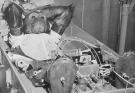 Heartbreaking story behind first ever chimpanzee to go to space as people react to concerning training images