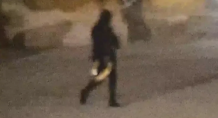 Shocking footage shows moment thieves run off with £4.75 million gold toilet stolen from Blenheim Palace