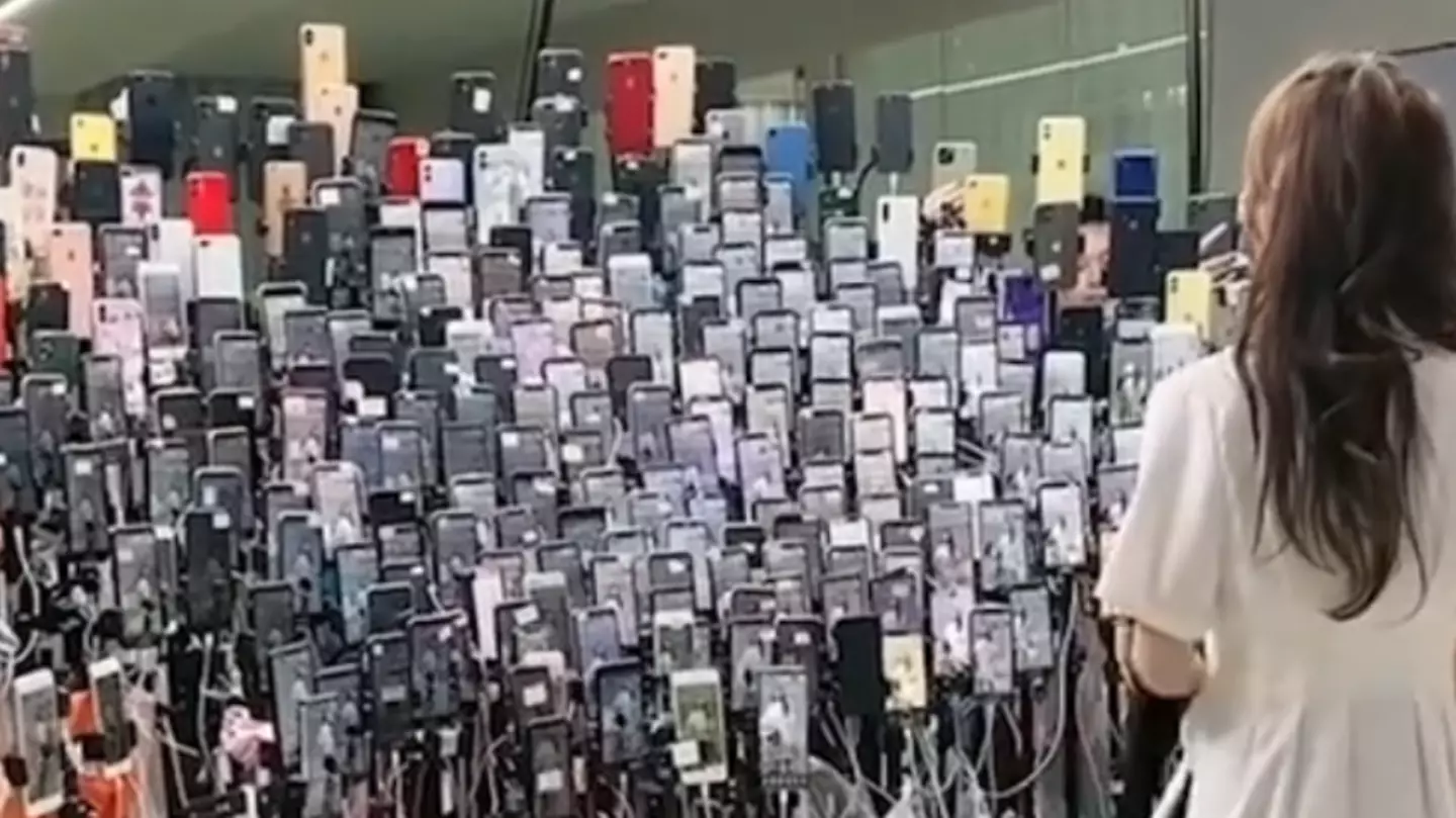 People baffled seeing Chinese influencer using ‘hundreds’ of phones to livestream herself at exact same time