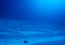 Scientist made worrying discovery when reaching the deepest point in the sea