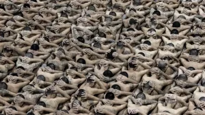 Everything we know about ‘worst prison on Earth’ with ‘inhumane rules’ where Donald Trump has sent 238 people