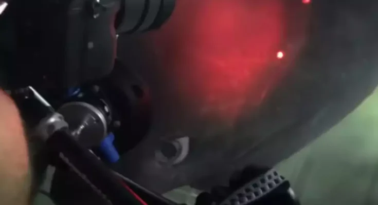 Sub on ocean floor comes into contact with deep-sea monster that predates dinosaurs in chilling footage