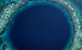 Chilling moment drone dropped to bottom of The Great Blue Hole gets attacked by creature of the deep on way down